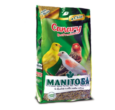 MANITOBA CANARY ΚΕΛΑΙΔΙΝΗ  900GR